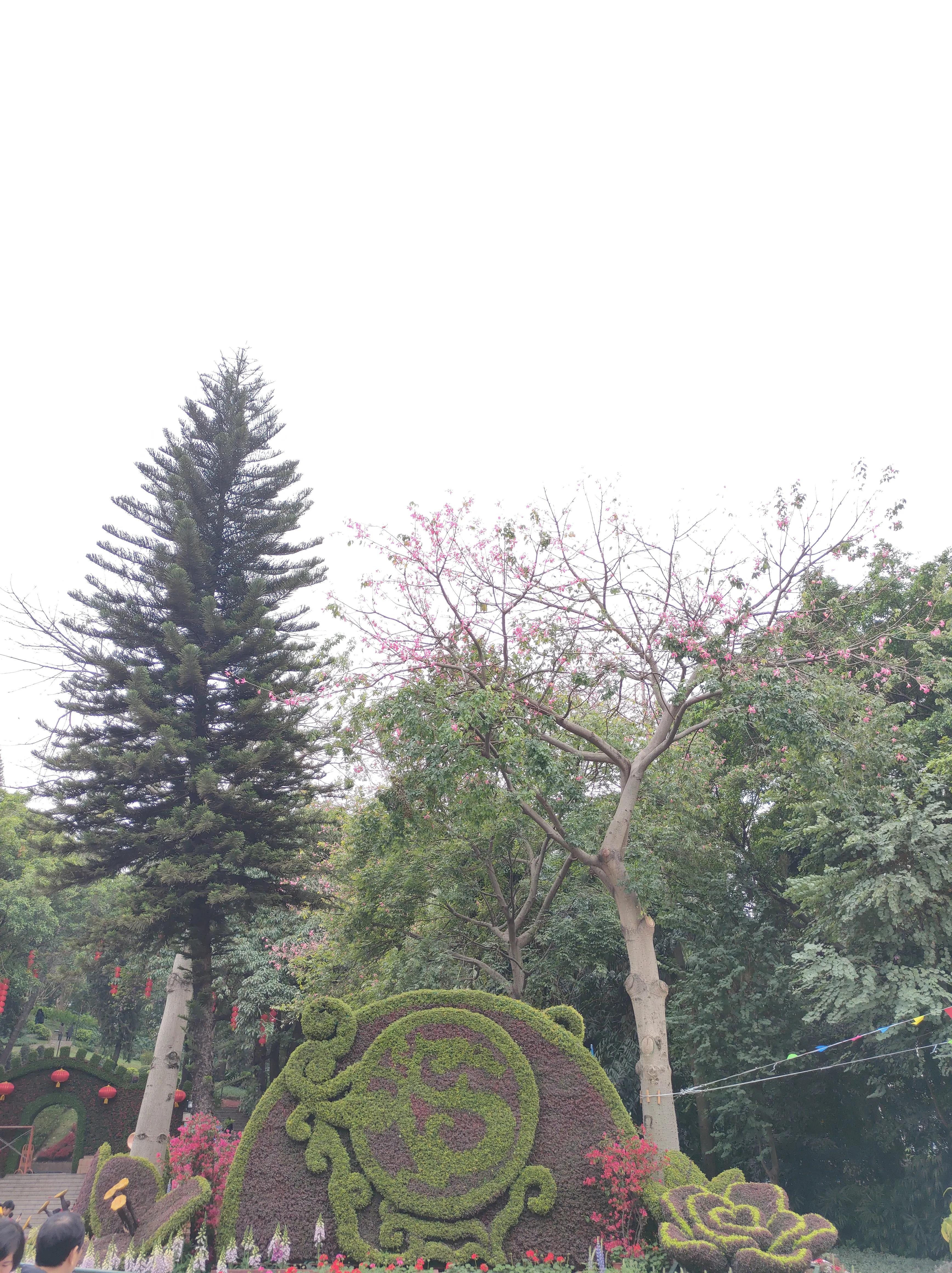 偌大的城市我的栖身之处在何处,偌大的城市容不下一个漂泊的灵魂