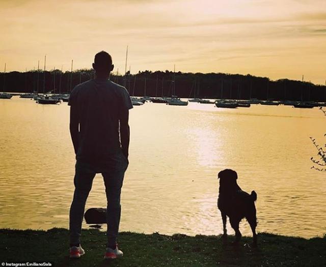 萨拉失联后遗体找到了吗,萨拉遇难前聊天