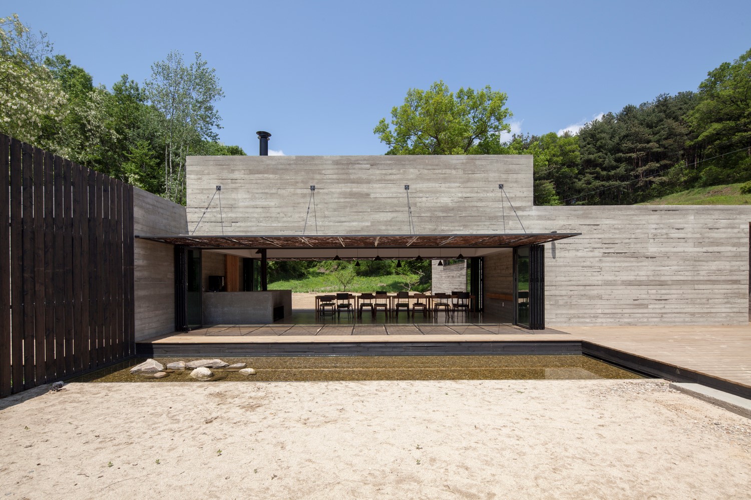 韩国蒲公英,韩国野生蒲公英的种植