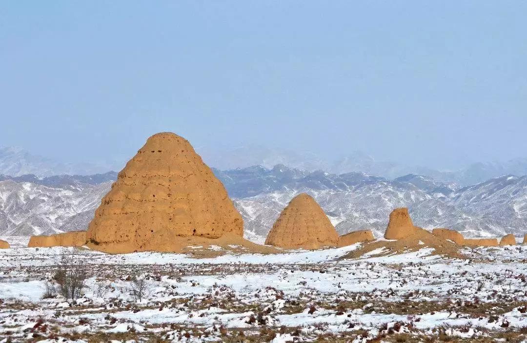 2020宁夏一日游旅游景点推荐,银川一日游最佳地方宁夏海洋公园
