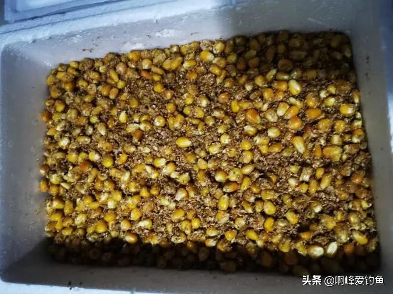 玉米饵钓鱼效果如何呢,万能钓鱼饵料是真的吗