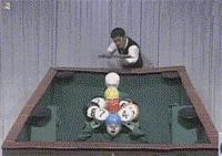 低调的搞笑动图,搞笑动图笑死人