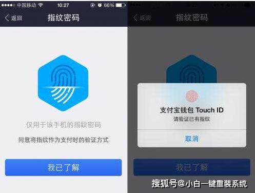 支付宝支付密码忘了怎么办苹果,支付宝支付密码忘了怎么办小米