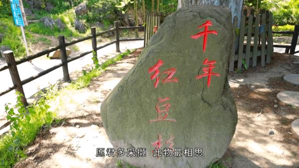 红色“吕”行，畅游溪口！