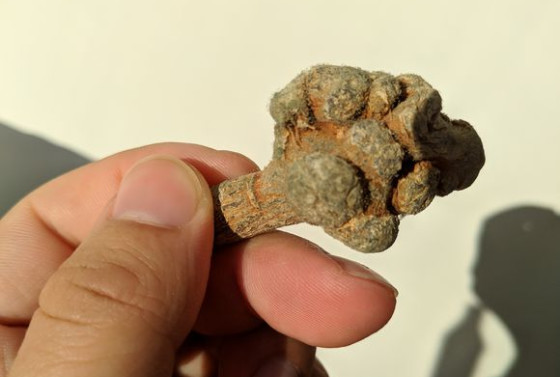 三七的不良影响,买的三七发霉了怎么办