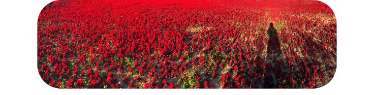 大年廿九风雨交加，在疫情弥散的恐怖中，我毅然走向医院