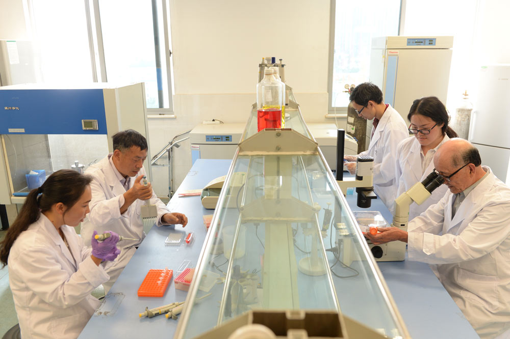 国产最好的他汀药,国内最好的他汀药