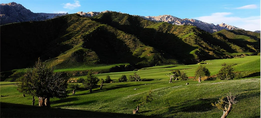 净土天峻,净土天峻高原牧场图片