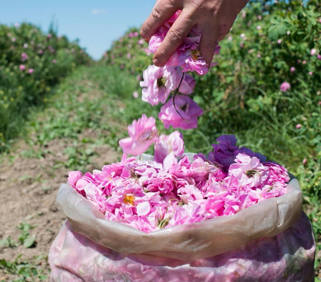 玩遍沙特阿拉伯，需要多少时间？