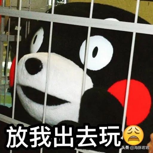 十大热门实用网红产品,2020网红十大热销产品