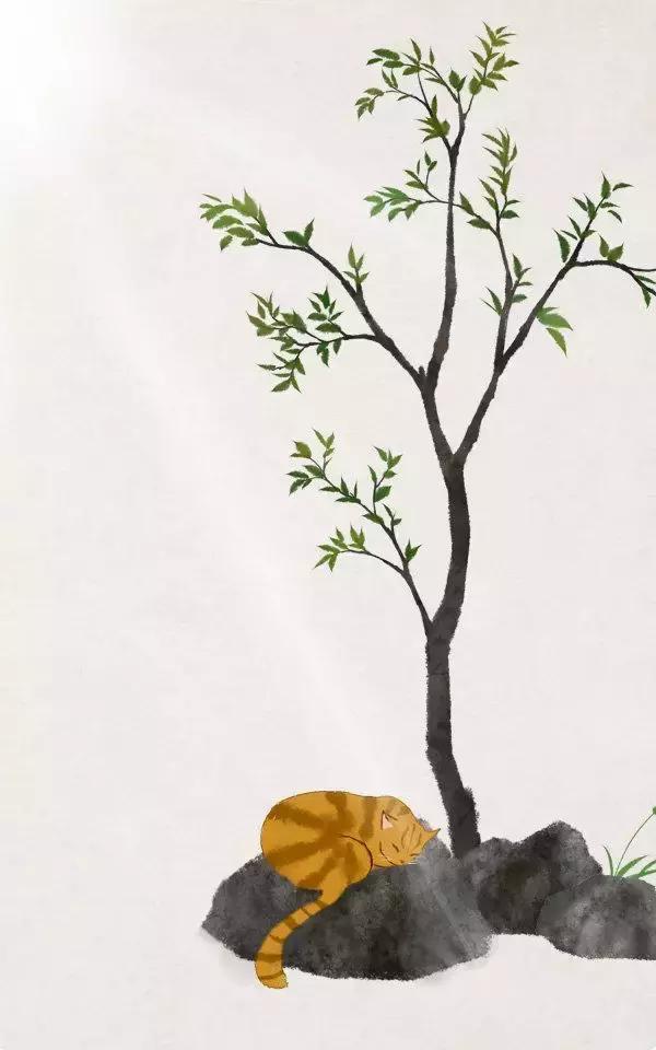 必学古诗词80首带翻译,你只知道半句的经典名句