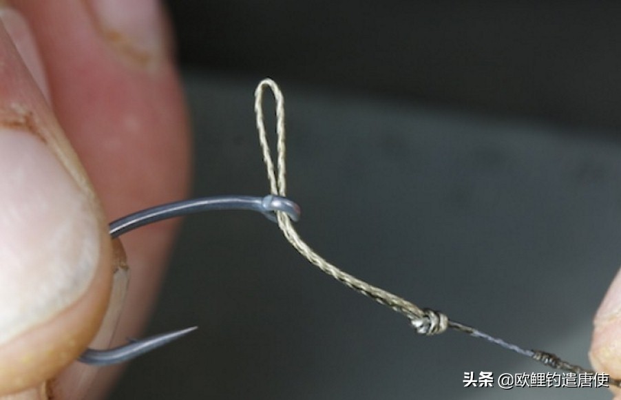 为什么鲤鱼比鲫鱼难钓,为什么鲫鱼这么难咬钩