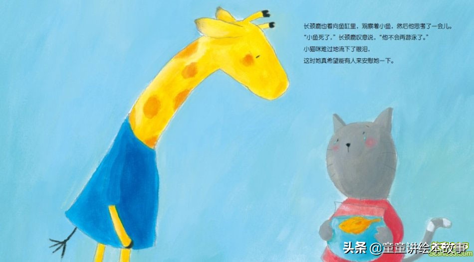 有声绘本故事小猫咪追月亮,绘本故事小猫小鱼