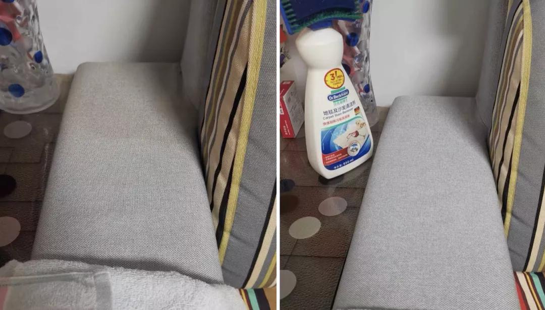 有宠一族必看：啥家庭条件呀，好几万的沙发随便毁？