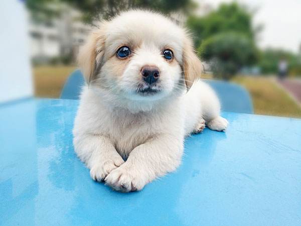 MBA无用论，马云说读MBA没用，读完就变傻了