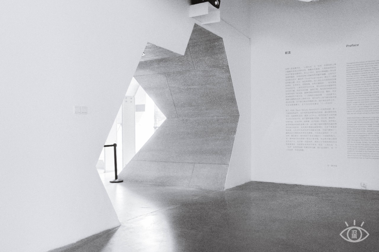 深圳福田美术馆,深圳艺术博物馆有什么值得看的