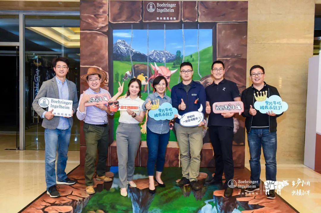 这一次，风口上站的是肉牛