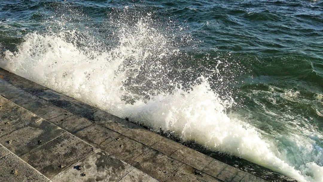 想要升职掌握哪些技巧,想要快速学习升职加薪的方法