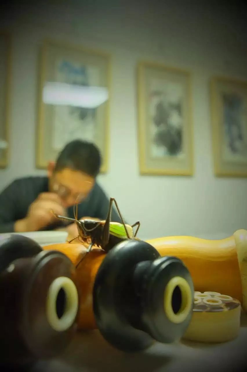 陈丹青评价齐白石,陈丹青被直呼大名