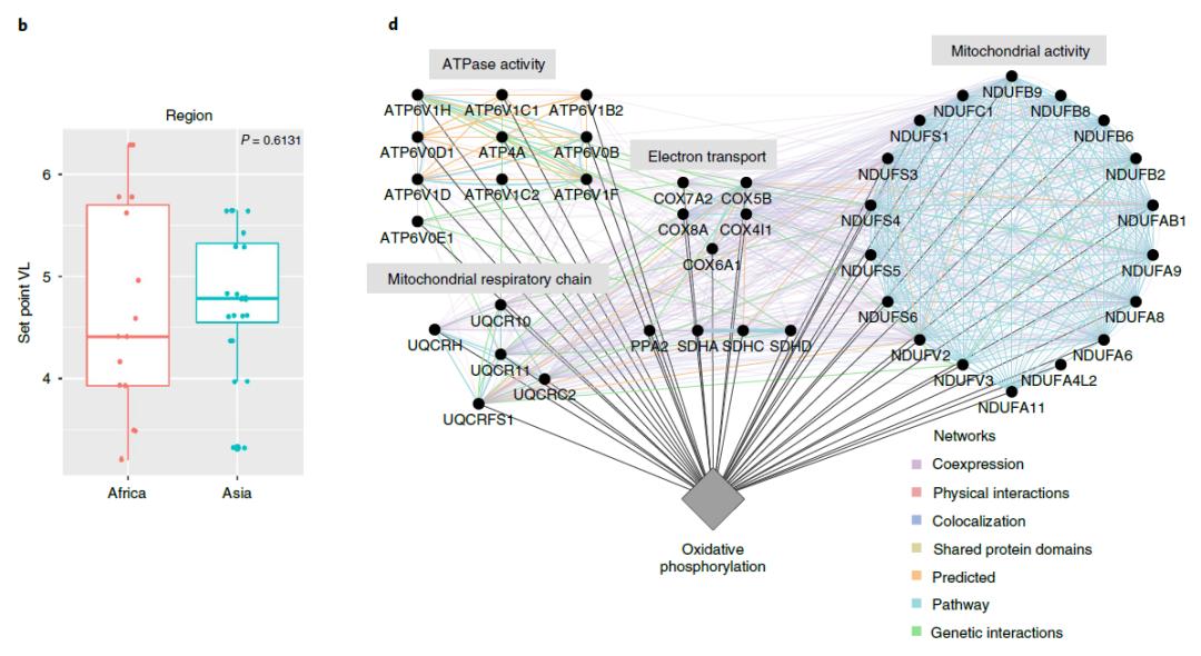 二甲双胍的毒副作用,二甲双胍艾滋病