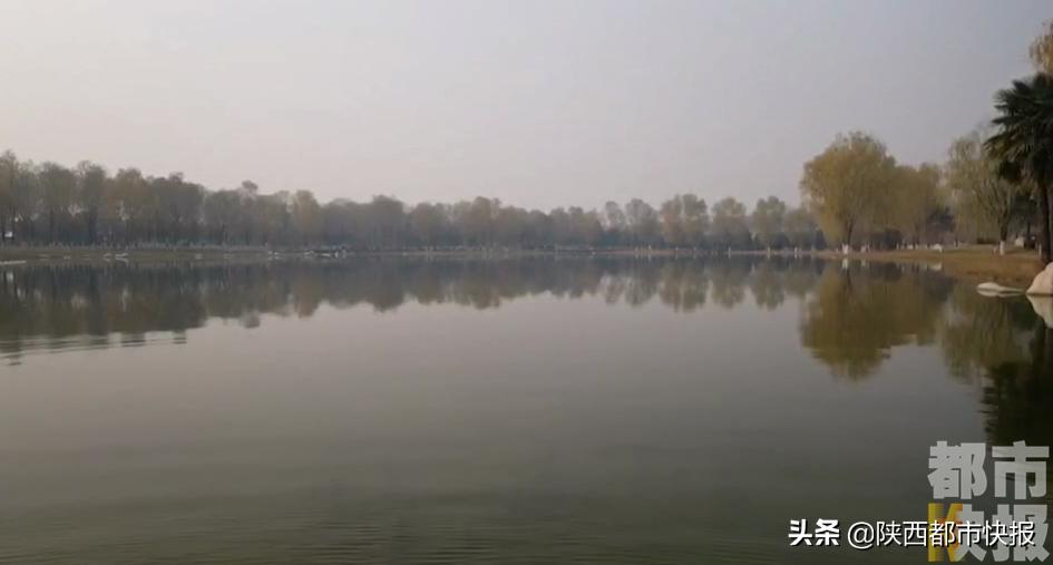 渭河生态治理2022,爱上新陕西之魅力浐灞