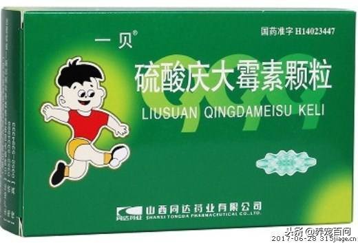 狗狗腹泻呕吐最快缓解方法,狗狗喂了螃蟹后呕吐拉肚子