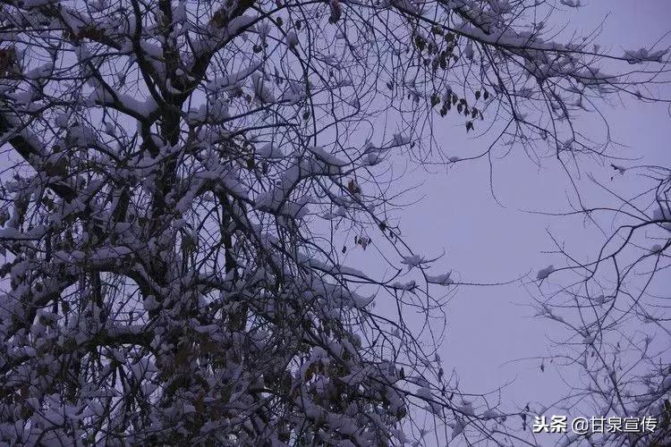 延安2019年第一次下雪是什么时候,延安初雪的时候