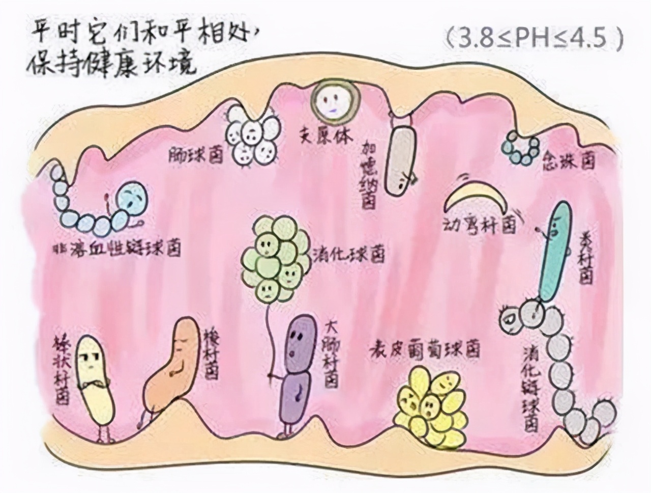 霉菌性阴道炎一般不能自愈，但可通过药物治愈，平时多注意这几点