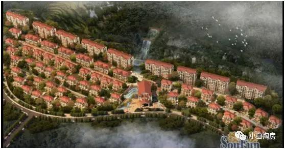 小白淘房上海,小白淘房衢州