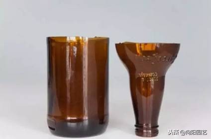 空酒瓶创意改造盆栽,室内盆栽植物专用瓶