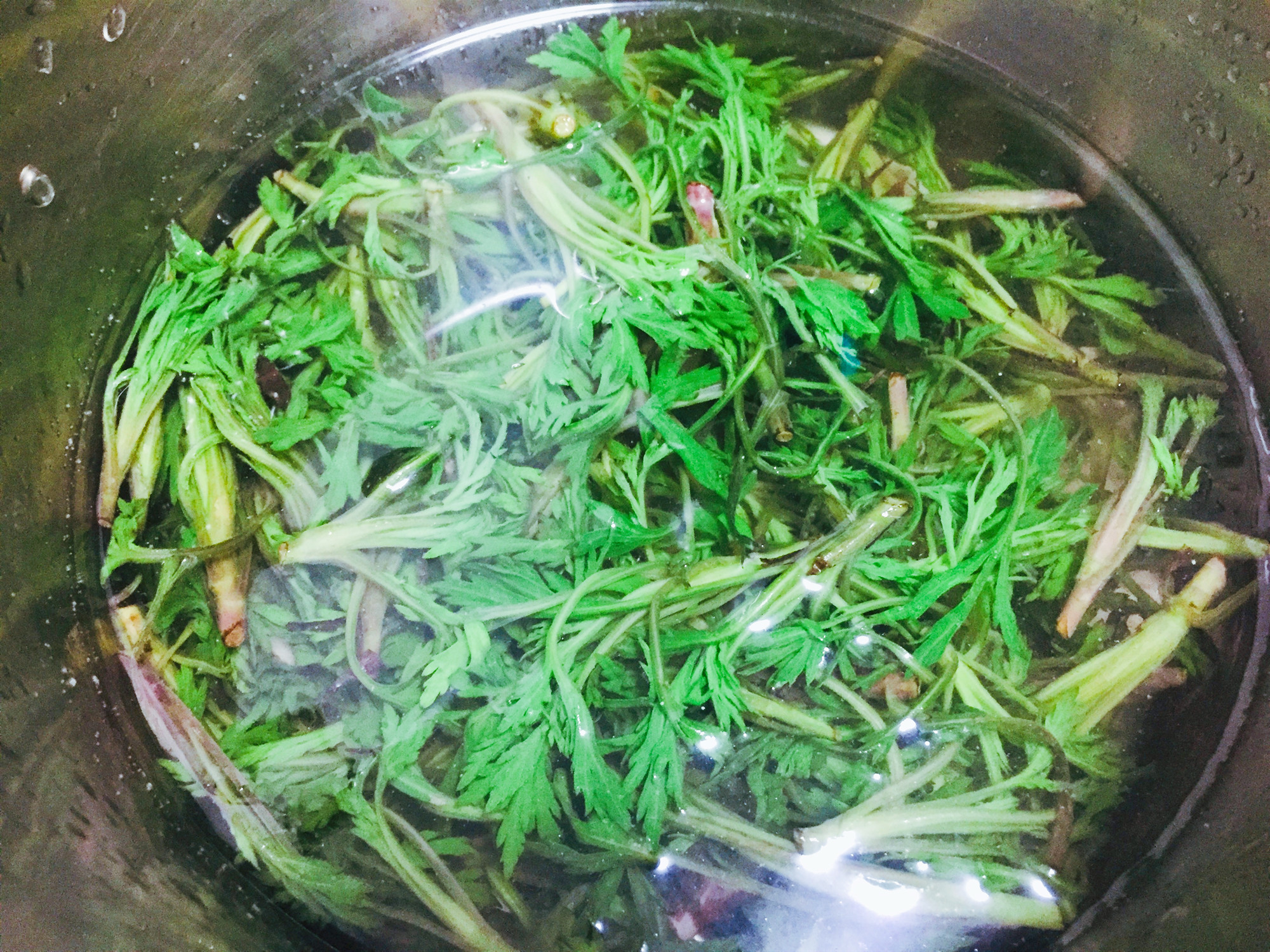 柳蒿芽凉拌做法,柳蒿芽的做法和功效