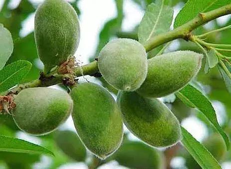 给干枯的身体洒水,给肌肤补充水分让皮肤放松