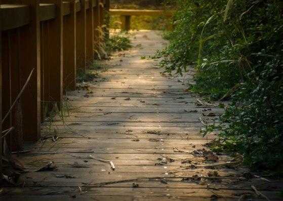 世界不会对你温柔以待作文,世界不会对你温柔以待歌曲