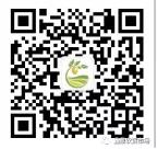 宅家云逛街活动在哪找,宅家云逛街现在开通