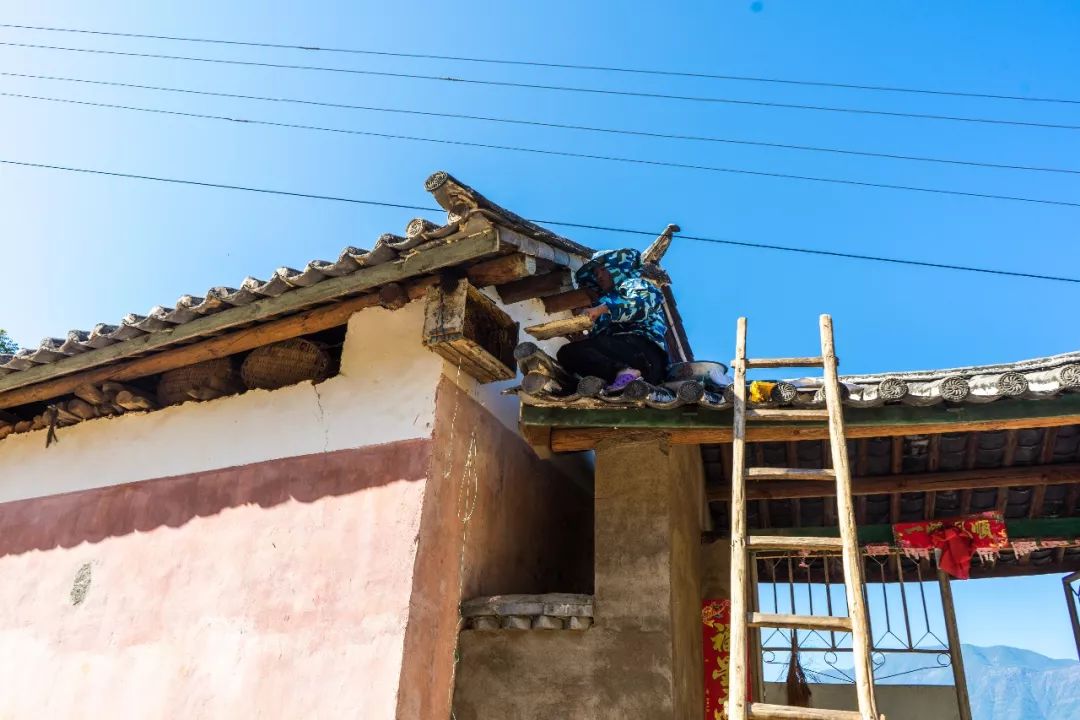 土蜂蜜的取蜜全过程,土蜂蜜取蜜全过程记录