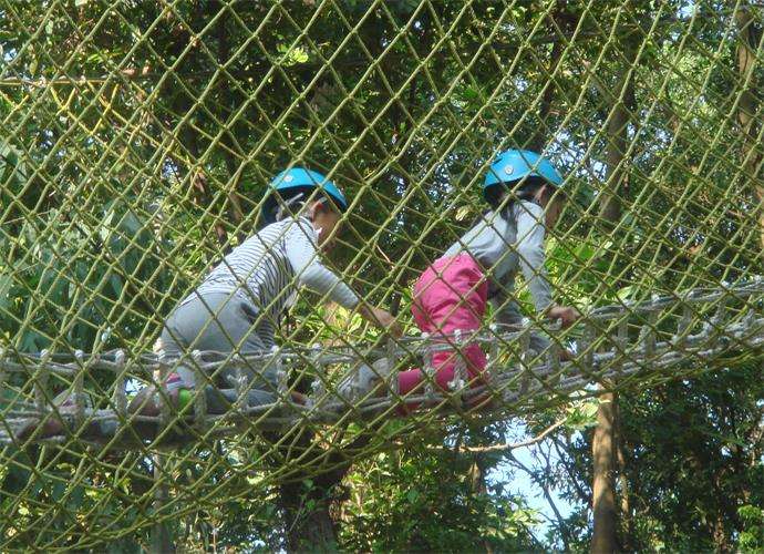 可拉熊丛林探险基地,深圳可拉熊丛林探险营地