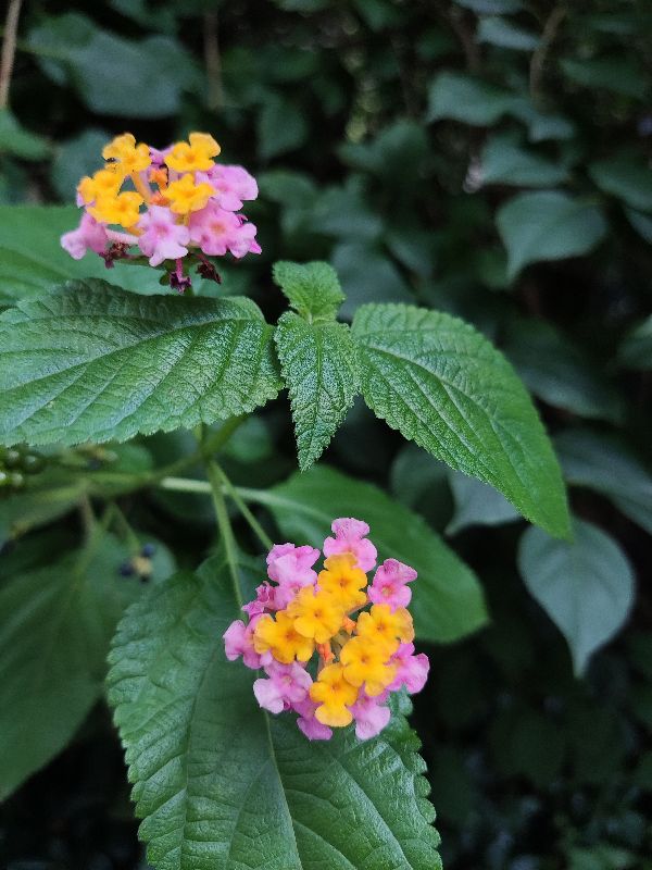送老师什么礼物最好最实用,小学教师节送老师什么礼物最合适
