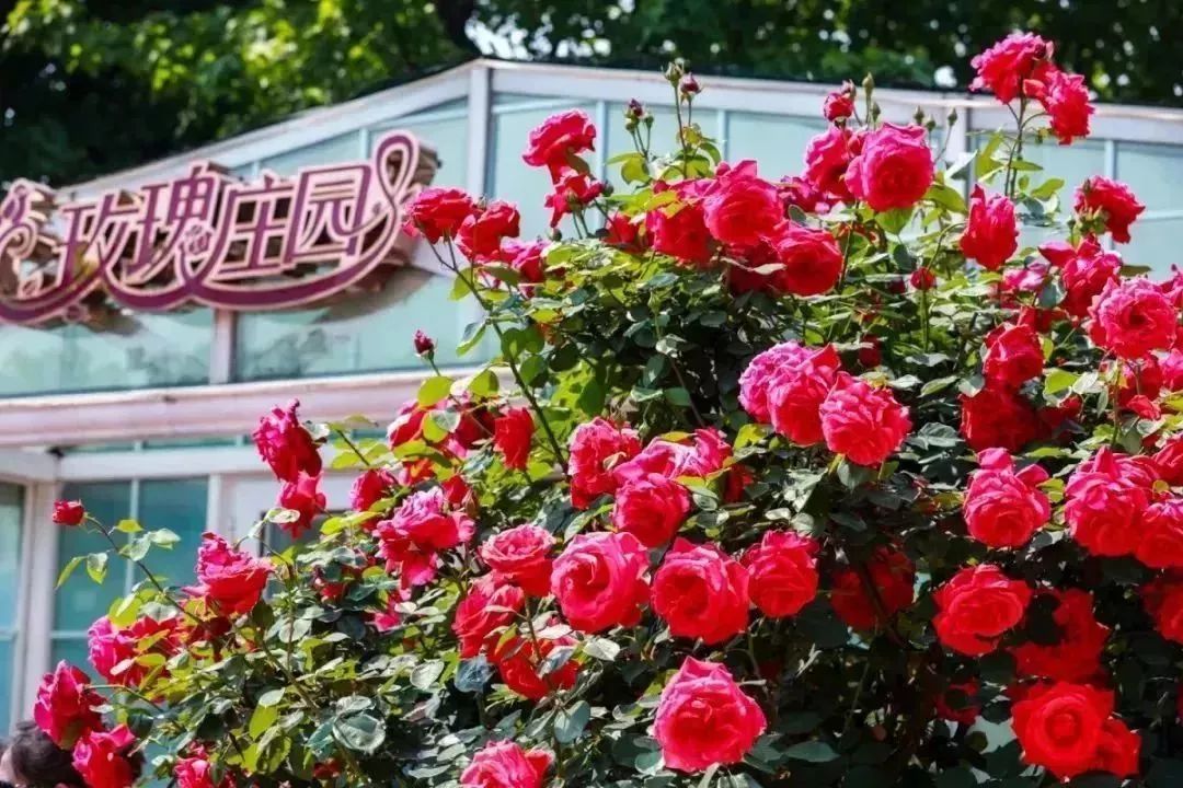 北仑旅游攻略大全集,北仑旅游攻略