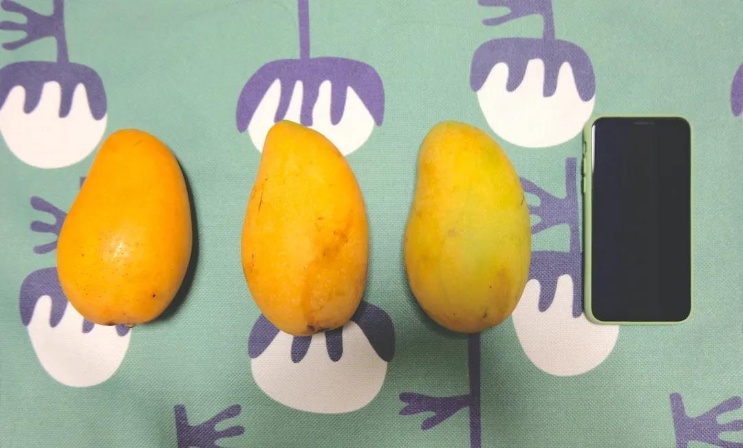 揭秘山姆会员店,山姆会员店的核心秘密