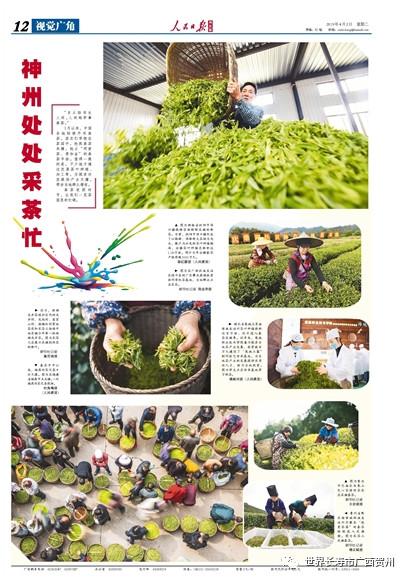 过去的一周你都经历了什么,过去的一年你错过了哪些大瓜