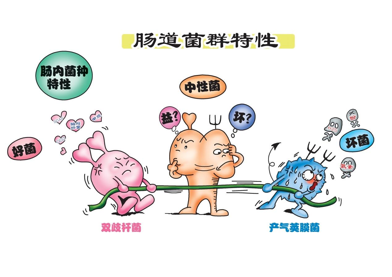 宝宝肠胃一直不好怎么调理,宝宝肠胃不好3大妙招轻松应对