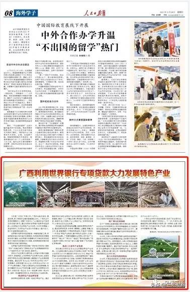 央视新闻报道三江,央视点评三江锅
