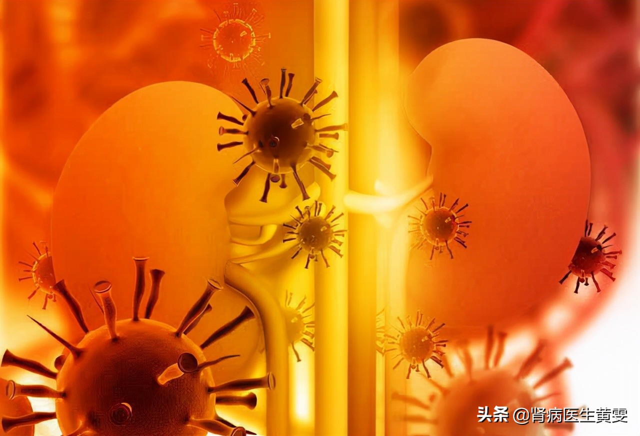 肾肌酐高到多少需透析,肾透析降肌酐的最好方法