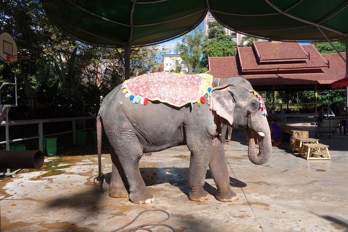 西双版纳三天两夜吃住行,云南西双版纳旅游景点攻略自由行