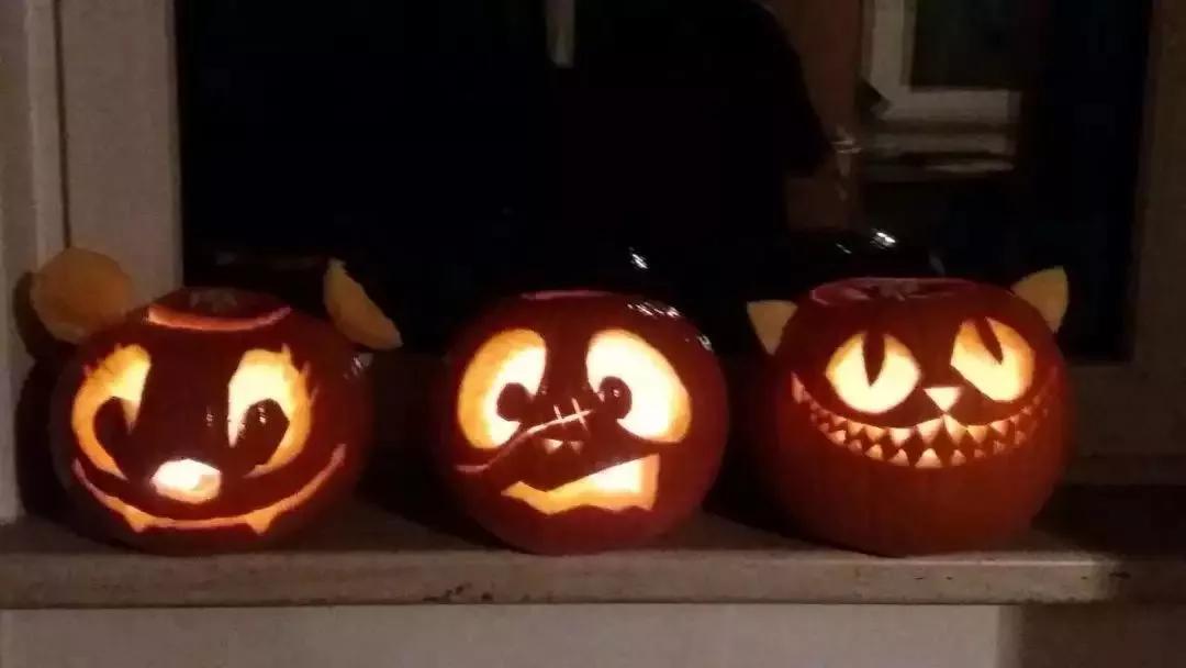 德国留学之与德国人的宿舍日常，跟国内的区别差太多了