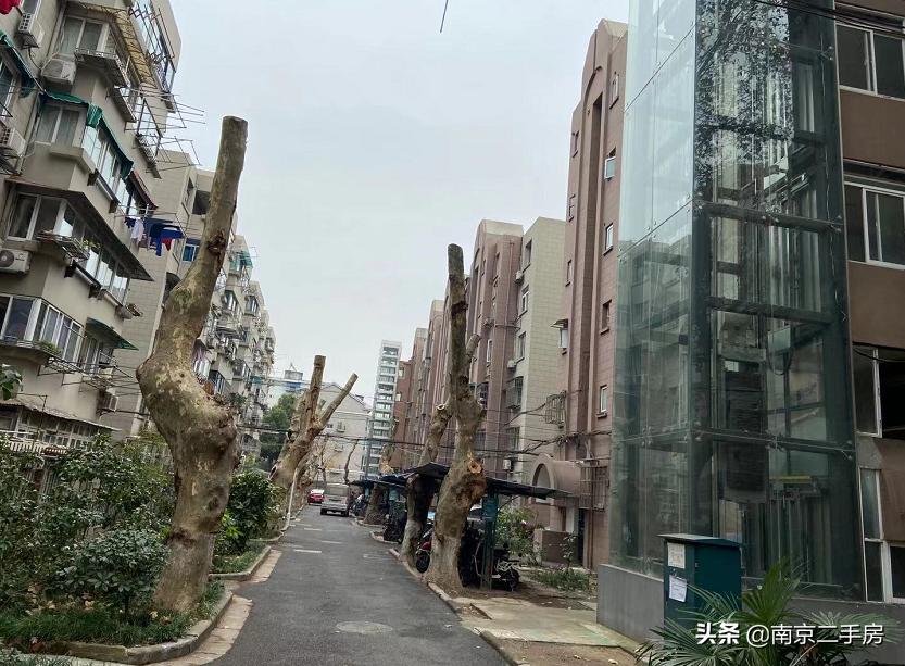 环境很好的老小区,环境好老小区