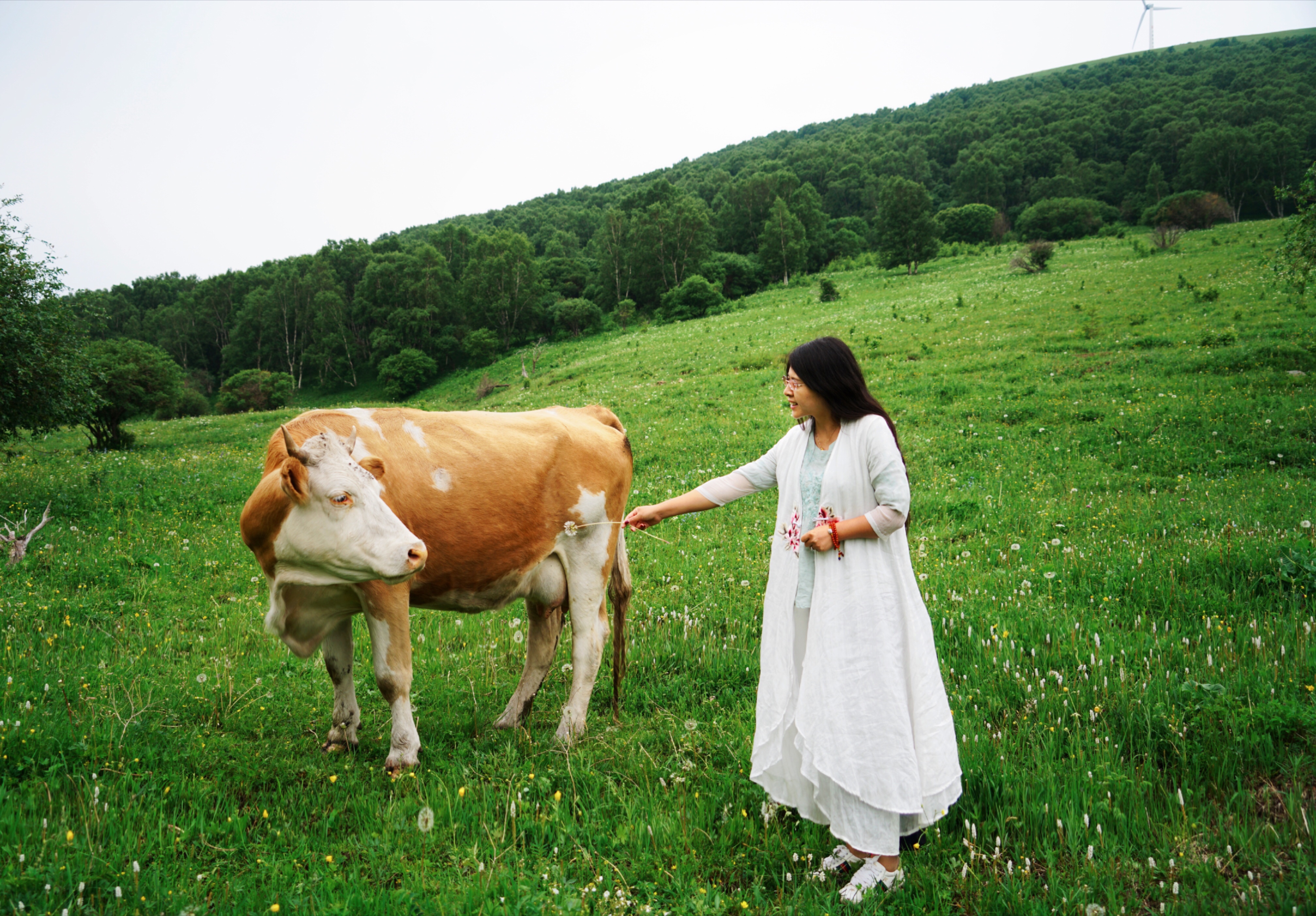 北京自驾避暑旅游攻略,2天一夜避暑胜地自驾游大盘点