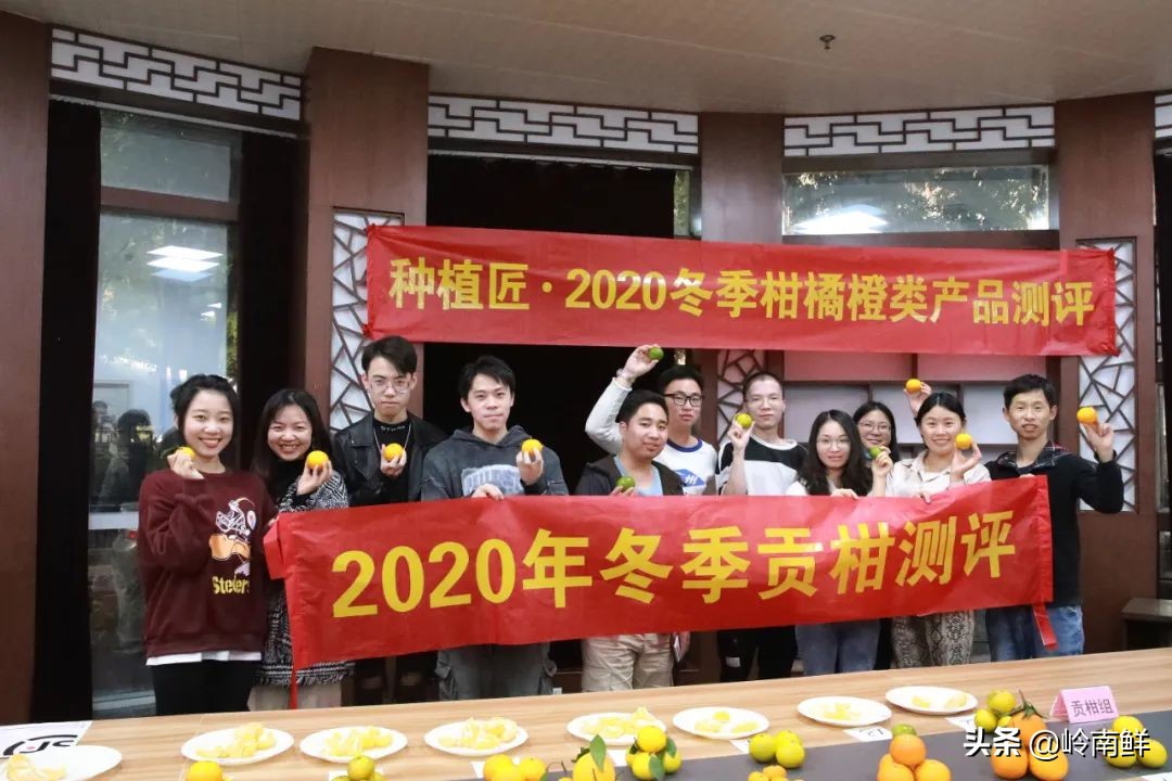 柑橘能吃出菠萝味？带你体验种植匠2020冬季柑橘橙测评