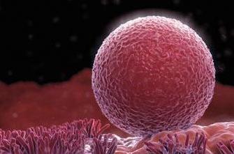 补孕酮最快的方法黄体生成素低,备孕期间孕酮低怎么补上来最快