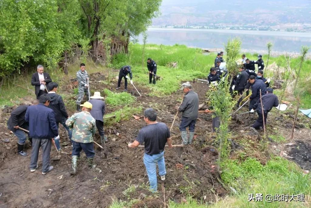 清河行动确保绿水长流,清河行动取得成效